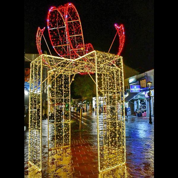 ΕΠΑΓΓΕΛΜΑΤΙΚΟ ΣΧΕΔΙΟ, ΔΩΡΟ 3D, ΘΕΡΜΗ ΛΕΥΚΗ ΚΑΙ ΚΟΚΚΙΝΗ LED ΦΩΤΟΣΩΛΗΝΑ, ΘΕΡΜΟ ΛΕΥΚΟ ΚΑΙ ΚΟΚΚΙΝΟ LED, 450x300cm, IP65